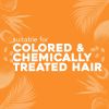 OGX Deeply Restoring + Pracaxi Recovery Oil Anti-Frizz Shampoo with Murumuru Butter to Intensely Hydrate Curly & Wavy Hair Sulfate-Free Surfactants fo