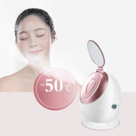 Nano Ionic Facial Steamer (Option: White-CH)